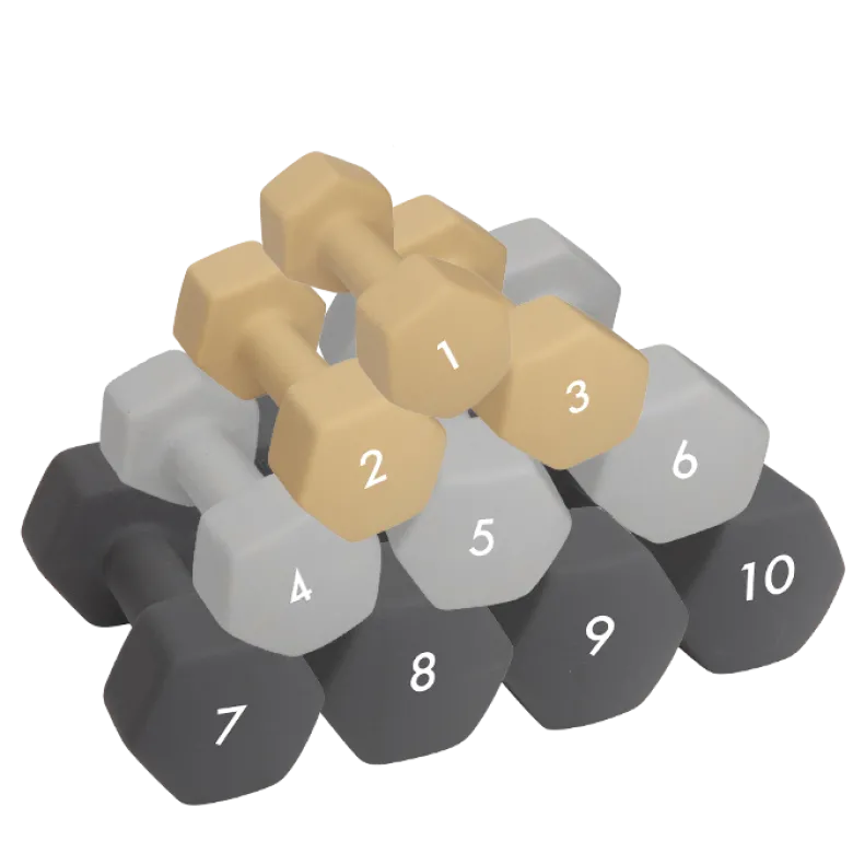 Abilica DumbBell 1 kg