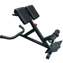 Back Trainer I