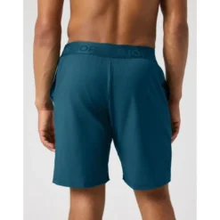 Borg 9" Shorts, Reflecting Pound