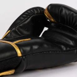 Challenger 2.5 Boxing Gloves Black/Gold, 10oz