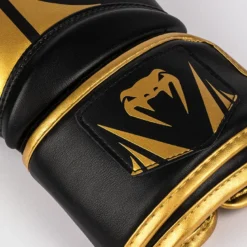 Challenger 2.5 Boxing Gloves Black/Gold, 10oz
