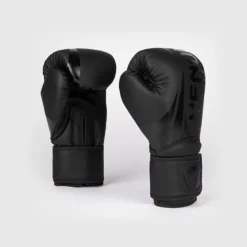 Challenger 2.5 Boxing Gloves Black/Black, 10oz