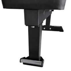 Flat Bench Gold IV