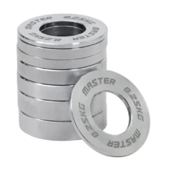 Master Miniviktskivor/Fractional Plates