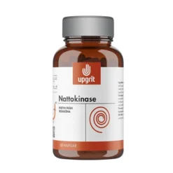 Nattokinase 60 kapslar