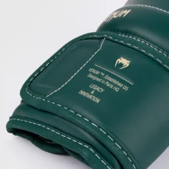 Venum Impact Evo Boxing Gloves Esmerald Green, 10 oz