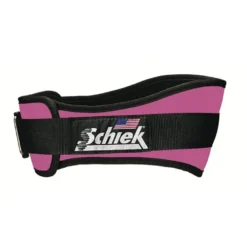 2004 - Workout Belt, Pink