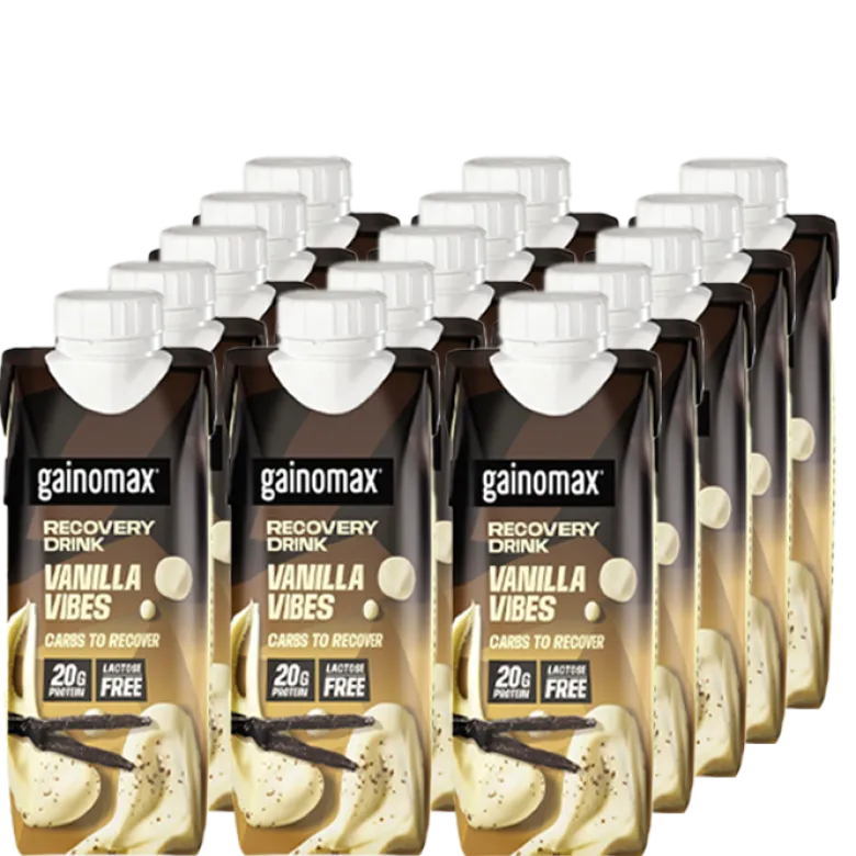 15 x Gainomax Recovery Chocolate 250 ml